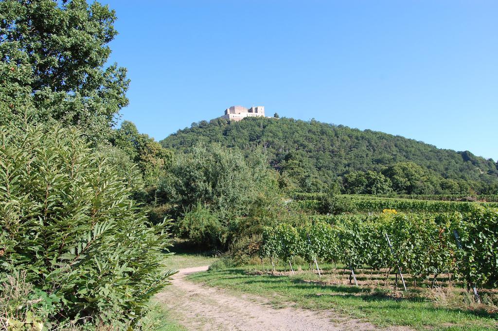 Landgasthof Jaegerstuebchen Neustadt an der Weinstraße Exterior foto